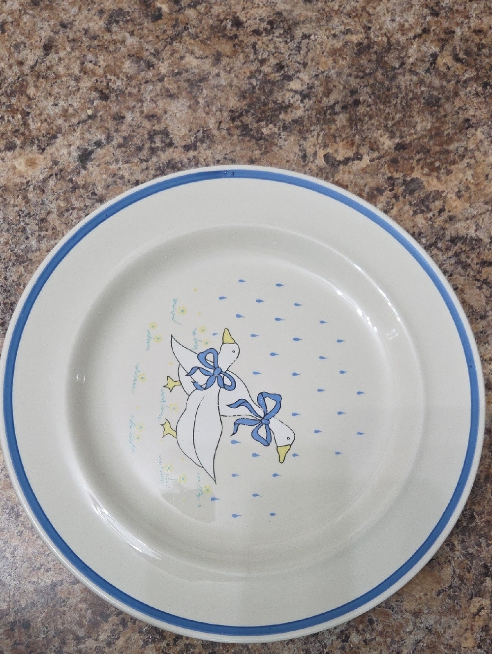 Blue-Trim Ceramic Duck Dinner Plate - White and Blue Set Of 2